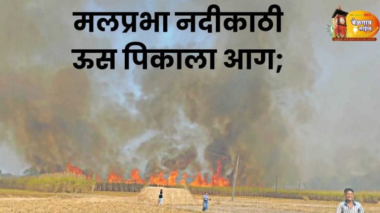 जळग्यात मलप्रभा नदीकाठी ऊस पिकाला भीषण आग; १,२०० टन ऊस जळून खाक
