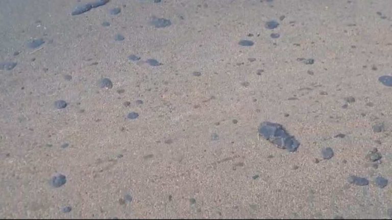 अलतगा फाटा ते अगसगे रस्ता वाहतुकीसाठी सुरक्षित करण्याची मागणी