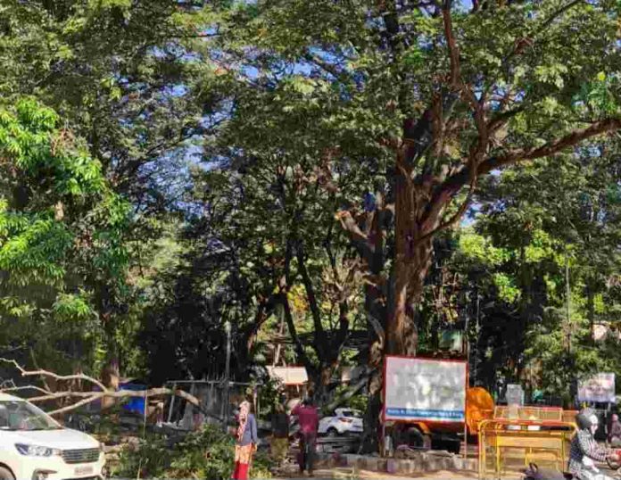 Screenshot_20251210_123907_WhatsApp