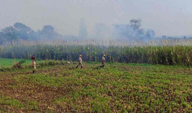नागरिकांच्या सतर्कतेमुळे टळले शेतकऱ्याचे लाखो रुपयांचे नुकसान !