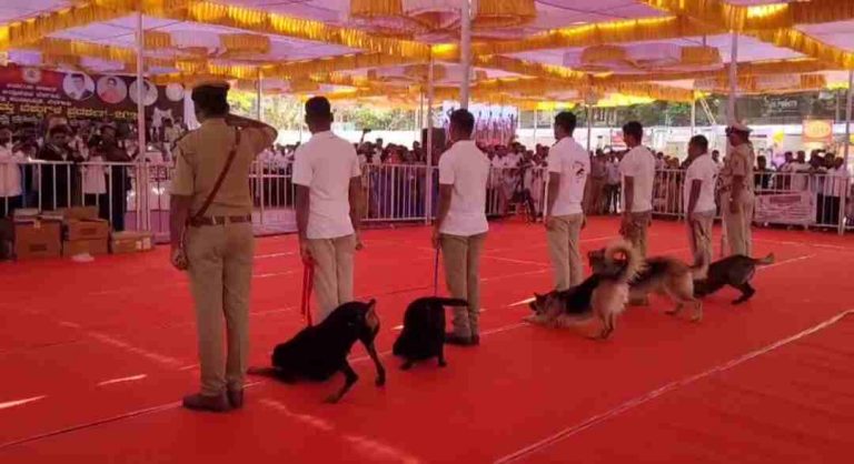 १६ वर्षांनंतर पुन्हा श्वान–मांजर प्रदर्शन