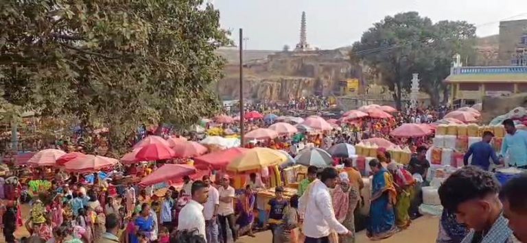 शाकंभरी पौर्णिमेनिमित्त भाविकांचा महापूर