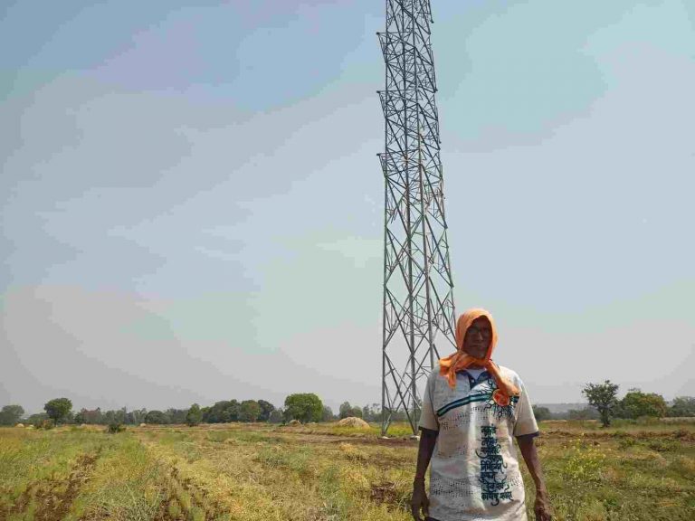 येळ्ळूर शिवारात रब्बी पिकांचे नुकसान करत वीज खांबांची उभारणी