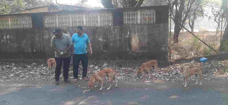 सेवा निवृत्त सैन्य अधिकाऱ्यांचे प्राणी प्रेम