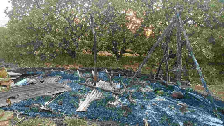 चलवेनहट्टी येथे झोपडीसह काजू झाडे आगीच्या भक्षस्थानी;