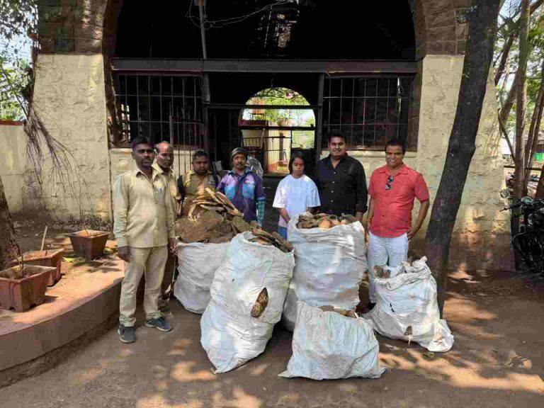 क्रिकेट बॅटसाठी जमवलेल्या पैशातून स्मशानभूमीला गोवऱ्यांची मदत