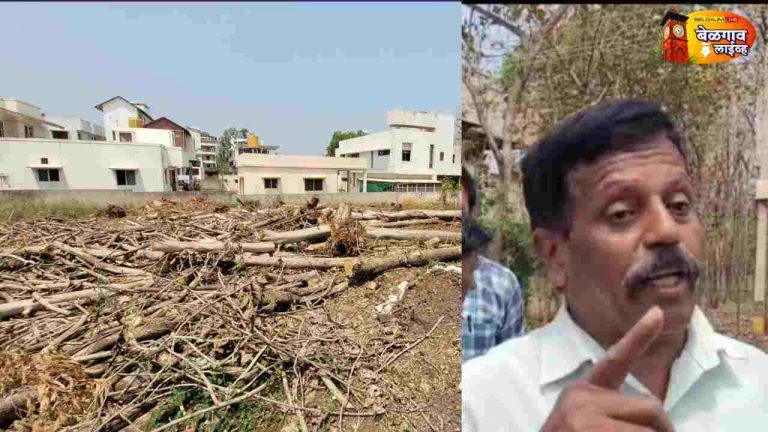 खाजगी जमिनीतील झाडांची बेकायदा कत्तल; जमीन मालकाची न्यायाची मागणी