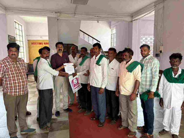 खानापूर तालुक्यातील मिरची उत्पादकांची परप्रांतीय व्यापाऱ्यांकडून लूट