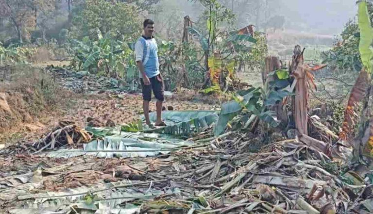 कोंगळा परिसरात हत्तीचा उच्छाद;  मोठे नुकसान
