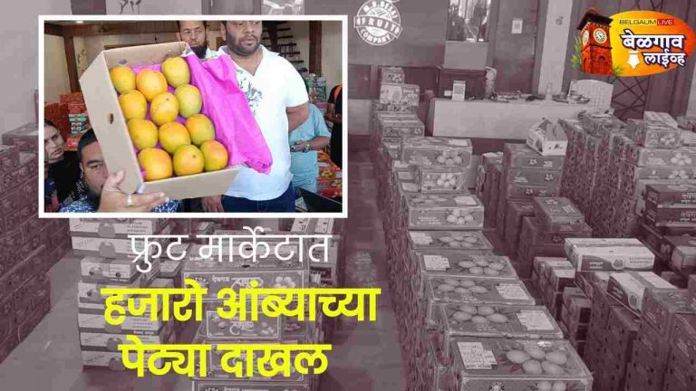 एम. बी. देसाई अँड सन्स फ्रुट कंपनीकडे हापूस मोठ्या प्रमाणात दाखल