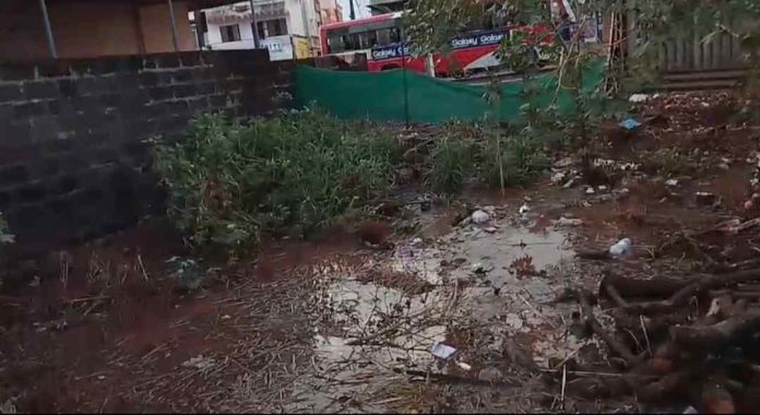 Screenshot_20260403_215534_WhatsApp