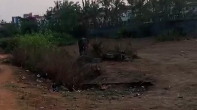 खानापूरात हत्तीचे आगमन; वन खात्याच्या तत्पर कारवाईने नागरिकांना दिलासा