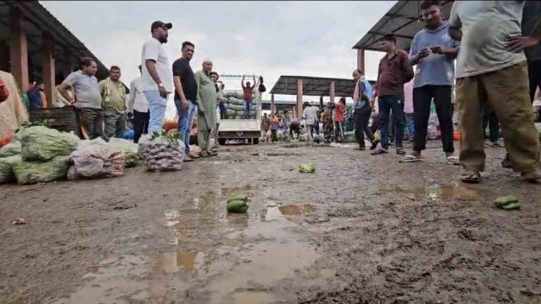 पावसामुळे एपीएमसी मार्केटमधील भाजीपाल्याचे नुकसान; शेतकऱ्यांमध्ये संताप