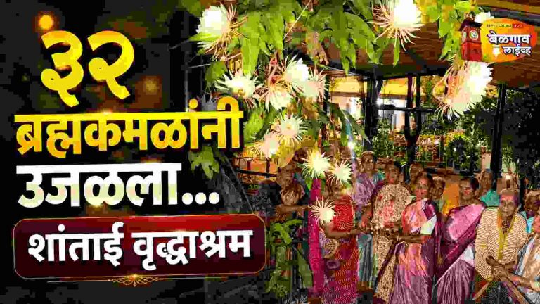 एका रात्रीत उमलली ३२ ब्रह्मकमळे;
