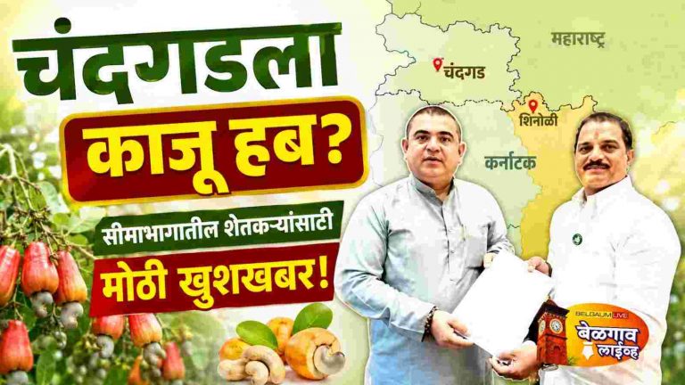 काजू मंडळ विभागीय कार्यालयासह महत्त्वाकांक्षी प्रकल्पांना गती