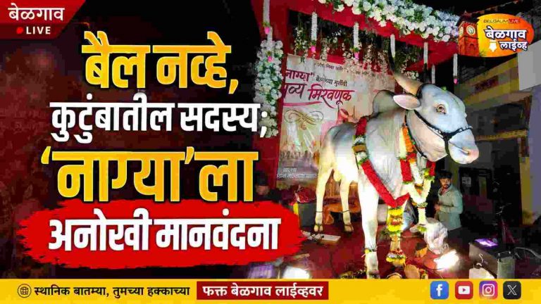 शेतकऱ्याचे बैलावरचे प्रेम; ‘नाग्या’ची मूर्ती चर्चेत