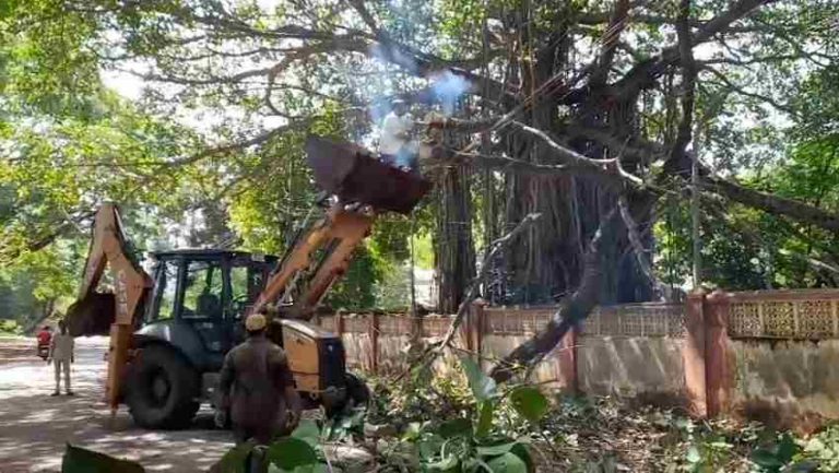 कॅम्प भागात मध्यरात्री वडाच्या झाडाची फांदी कोसळली;