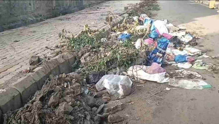 दुर्गंधी आणि भटक्या कुत्र्यांचा उपद्रव वाढला