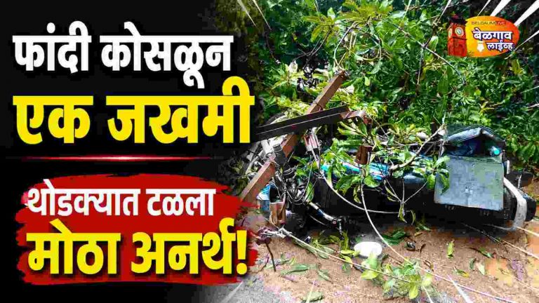 झाडाची मोठी फांदी कोसळली; सुदैवाने दोघे बचावले, एक जखमी