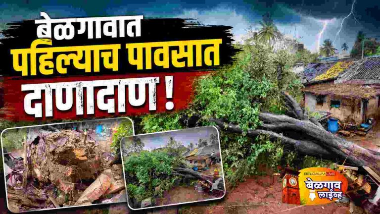 झाडे, वीज खांब आणि घरांच्या पडझडीचे सत्र सुरु !