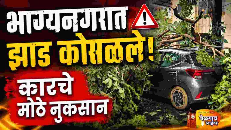 भाग्यनगरात झाड कोसळून कारचे मोठे नुकसान