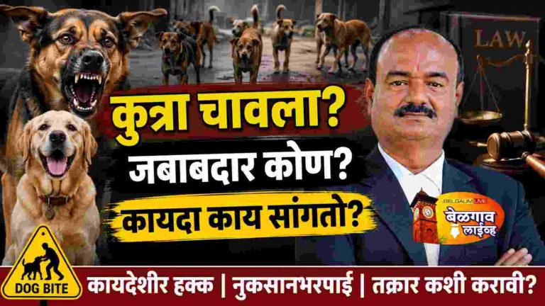 भटकी आणि पाळीव कुत्री अन् कायदेशीर जबाबदारी