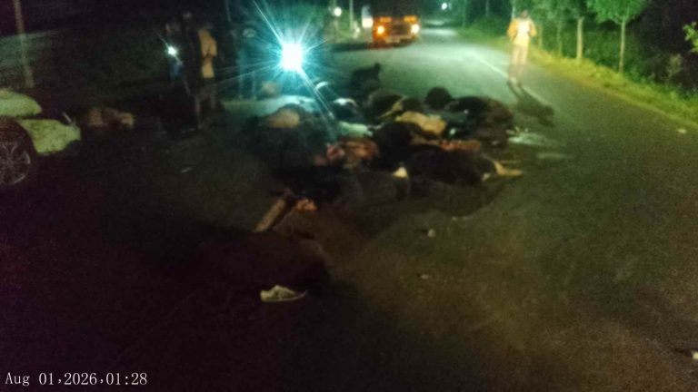 भरधाव कारने ४८ हून अधिक मेंढ्या चिरडल्या