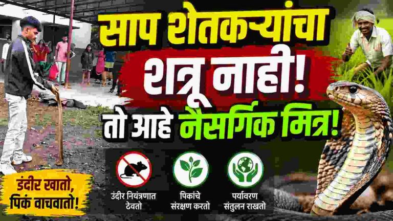 साप शेतकऱ्यांचा शत्रू नव्हे, मित्र!: भरतेश