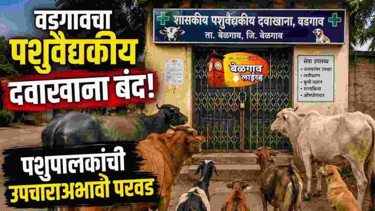 दवाखान्याला कुलूप; जनावरांचे हाल!