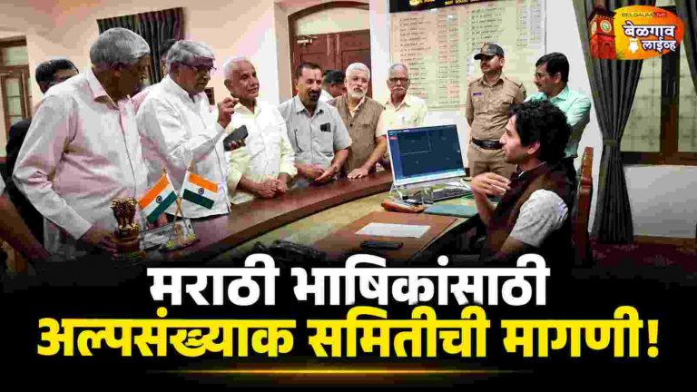 भाषिक अल्पसंख्याक समिती स्थापन करा :म ए समिती