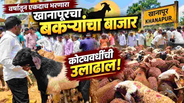 वर्षातून एकदाच भरतो खानापूरचा बकऱ्यांचा बाजार