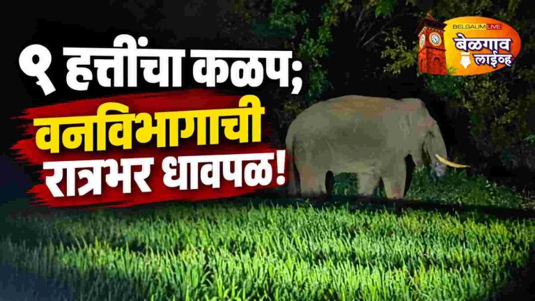 खानापूर वनविभागात हत्तींचा कळप;