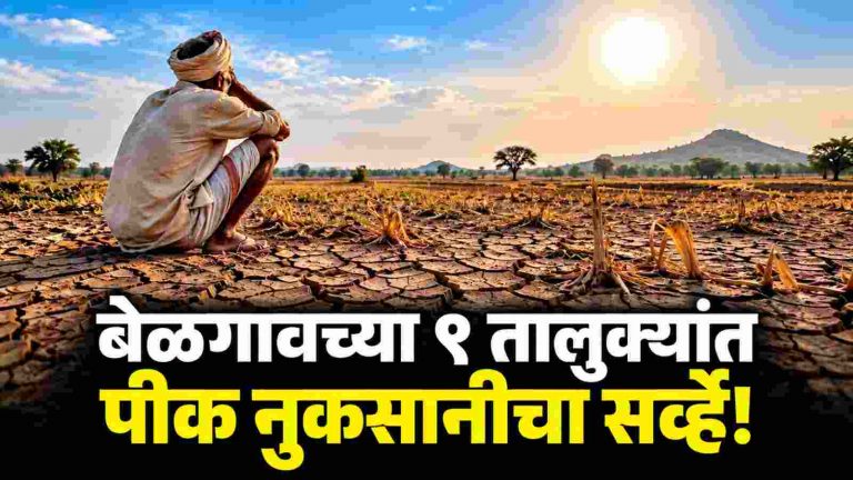 बेळगाव जिल्ह्यातील ९ तालुक्यांत पीक नुकसानीचे प्रत्यक्ष सर्वेक्षण