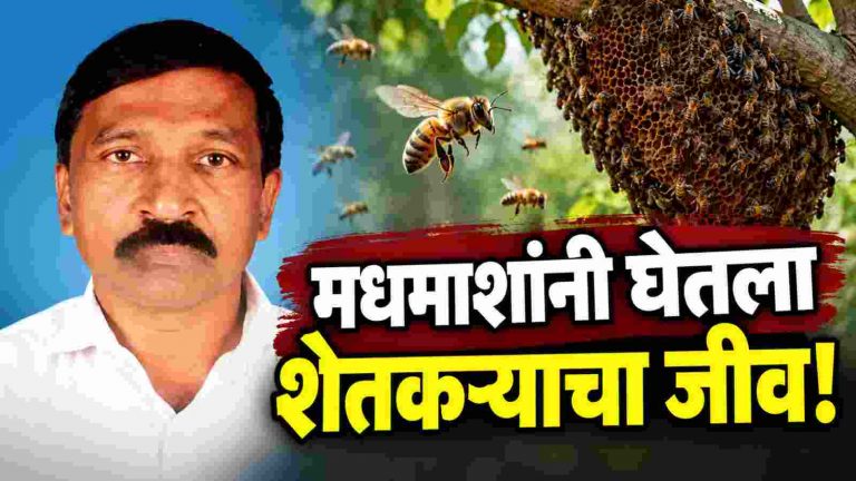 मधमाशांच्या हल्ल्यात शेतकऱ्याचा दुर्दैवी मृत्यू